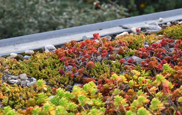 the cost of Ugthorpe green roof installation