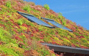 Ugthorpe living roof systems