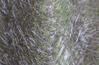 Ugthorpe fibreglass roof work